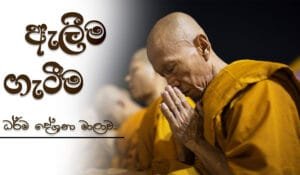 niwan_dakimu-quotes-alima-gatima