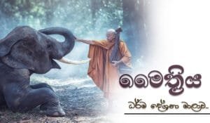 niwan_dakimu-quote-maithriya